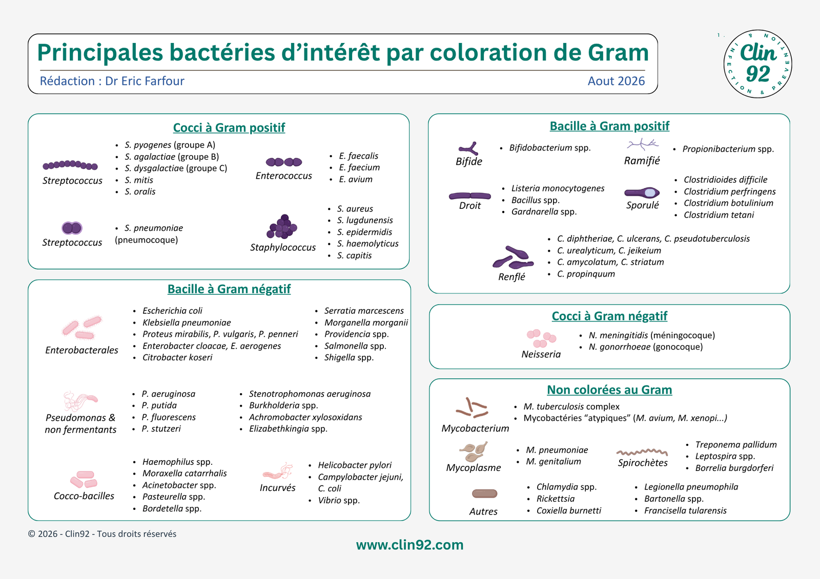 Principales bactéries d'intérêt par coloration de Gram - aperçu