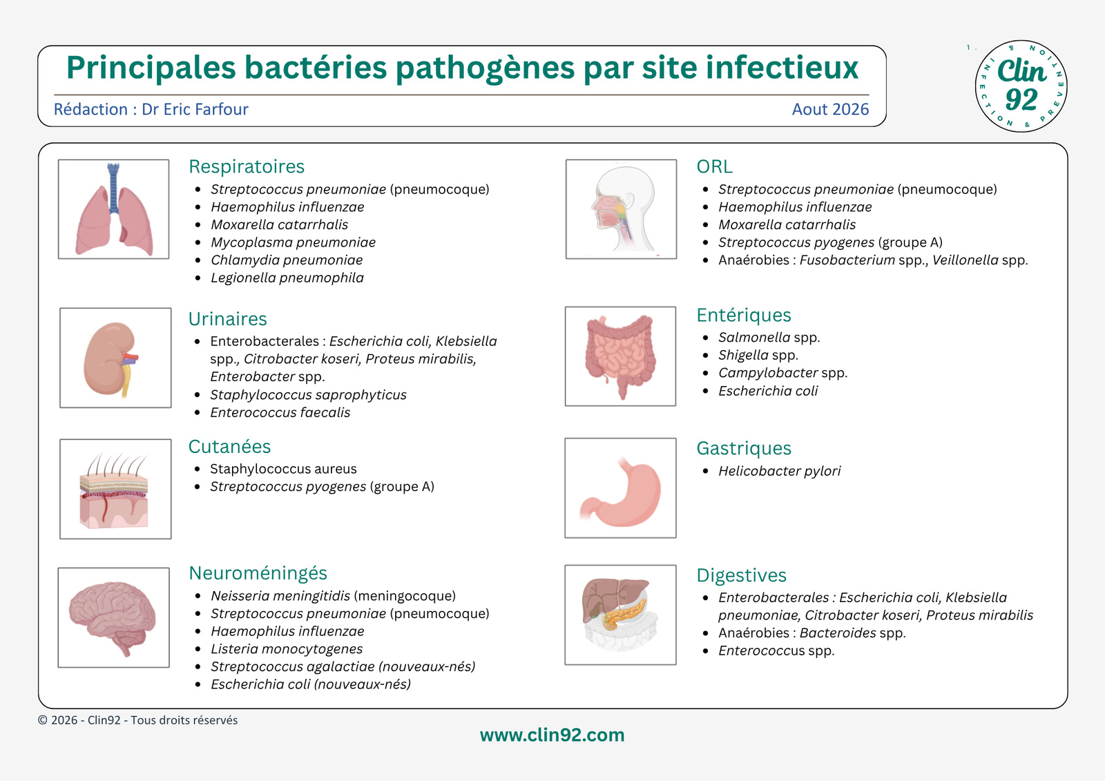 Principales bactéries pathogènes par site infectieux - aperçu