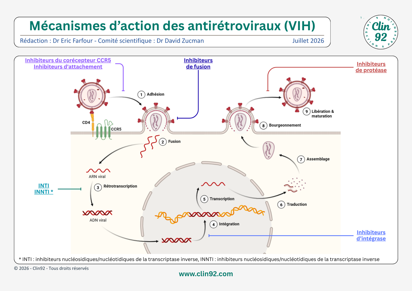 Mécanismes d'action des antirétroviraux - aperçu