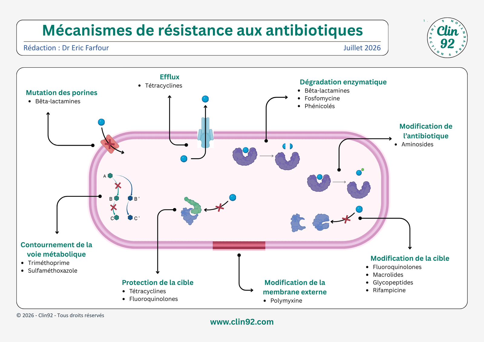 Mécanismes de résistance aux antibiotiques - aperçu