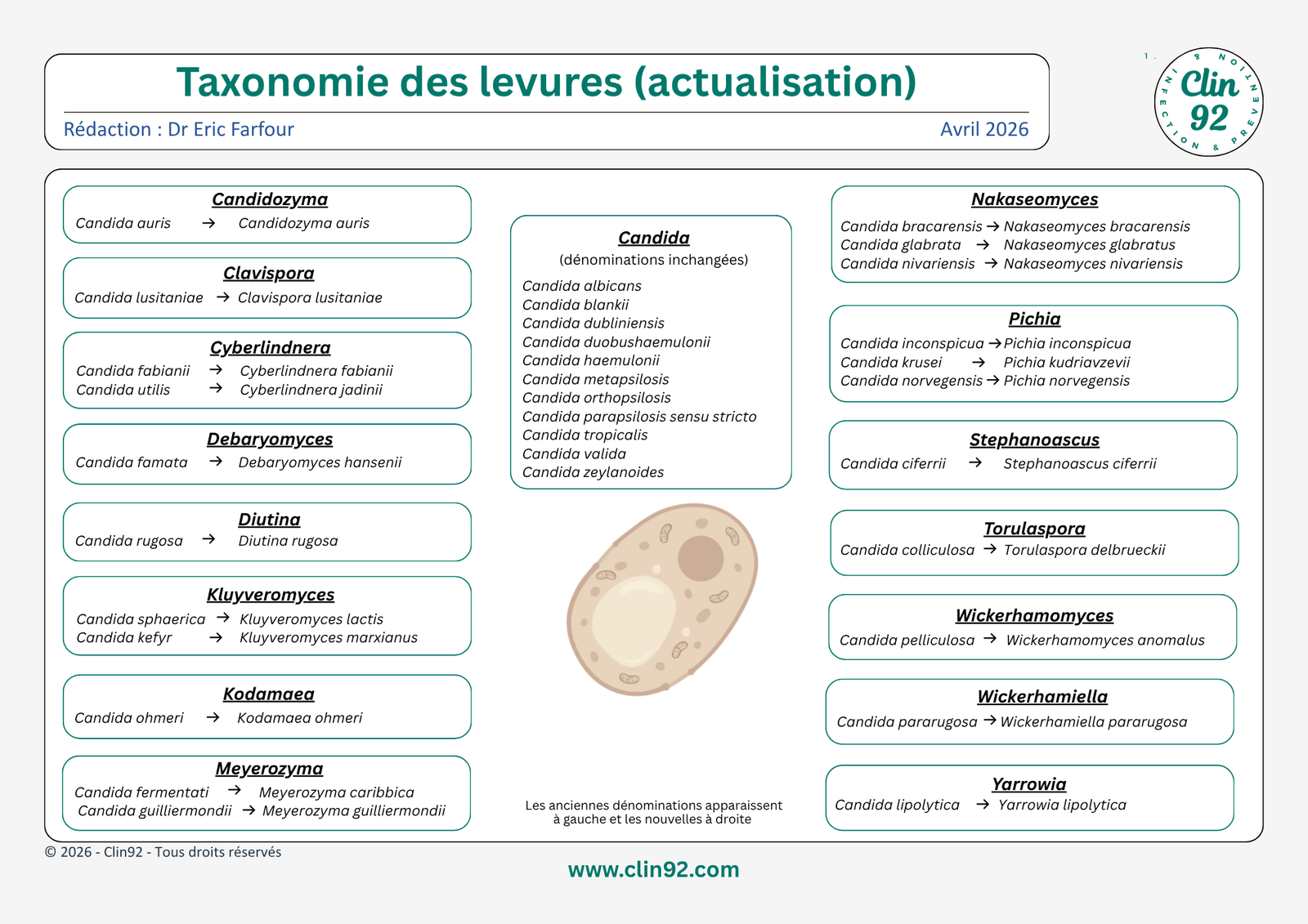 Taxonomie des levures - aperçu