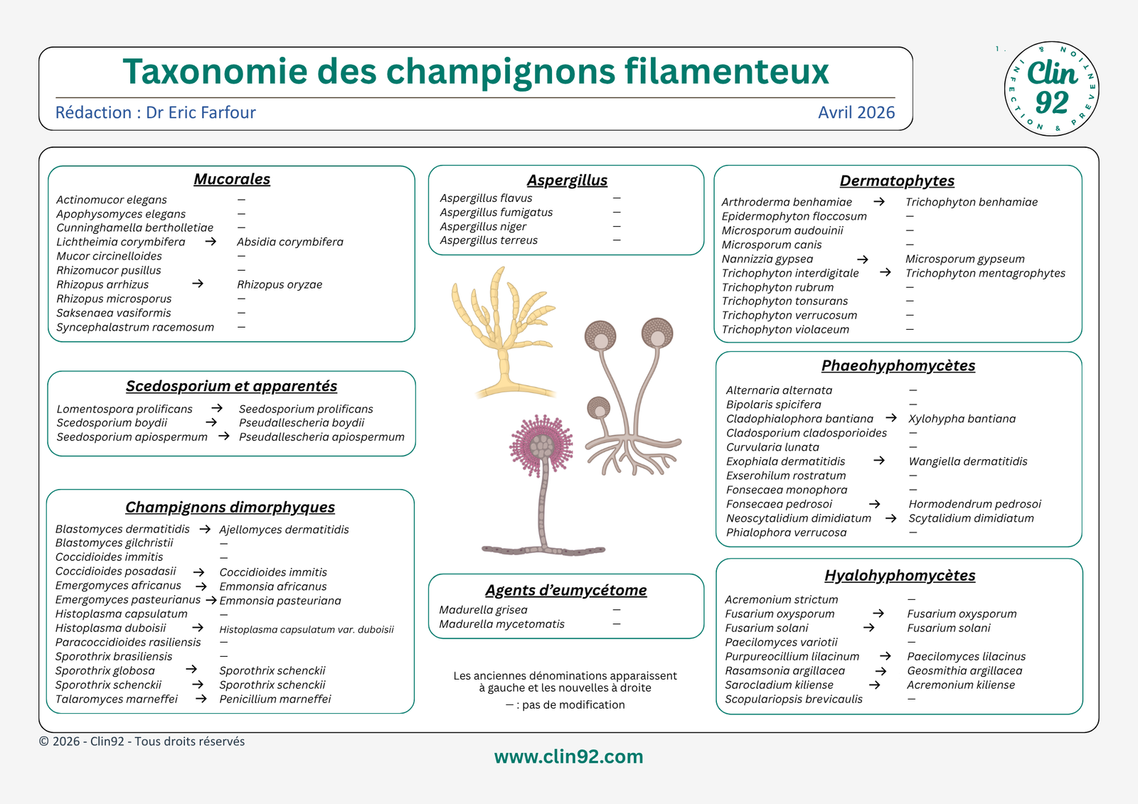 Taxonomie des champignons filamenteux - aperçu